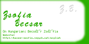 zsofia becsar business card